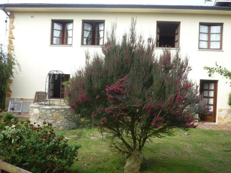 Apartamentos Rurales La Caramba Lamuno Εξωτερικό φωτογραφία